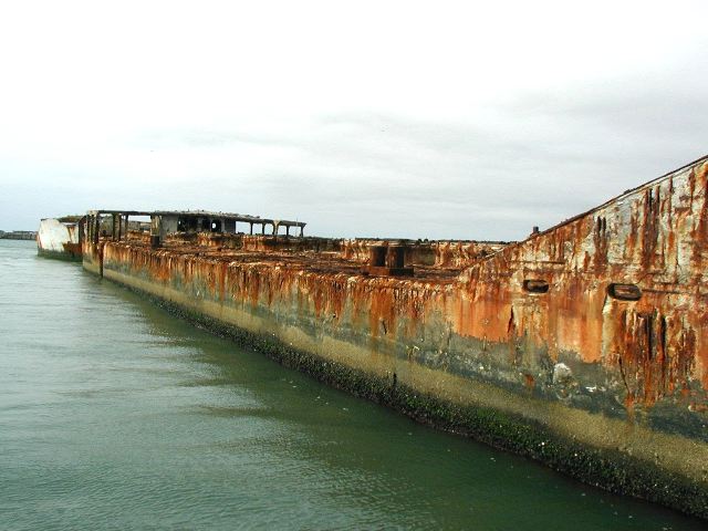 54.jpg