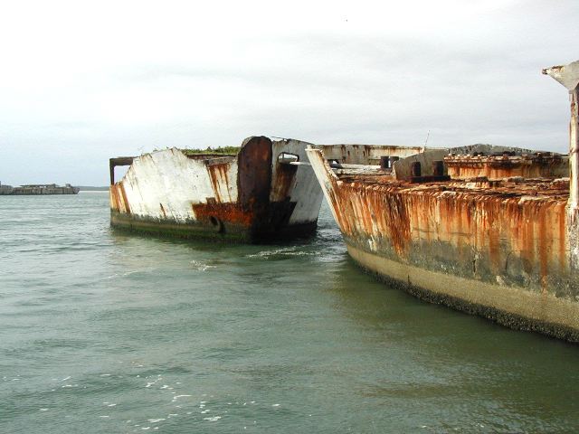 55.jpg