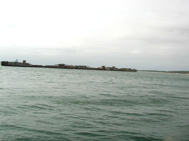 58.jpg