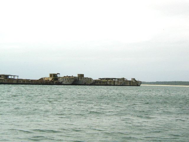 59.jpg