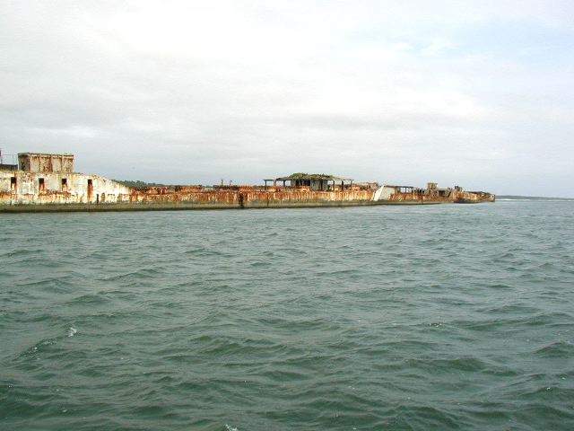 61.jpg