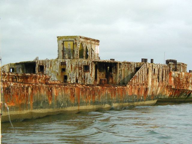 64.jpg