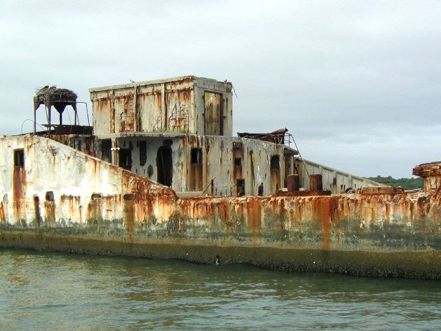 66.jpg